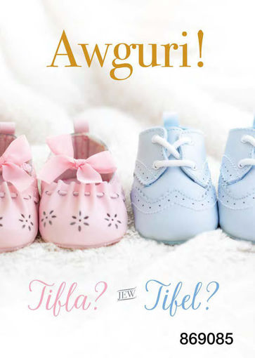 Picture of AWGURI TIFEL JEW TIFLA?